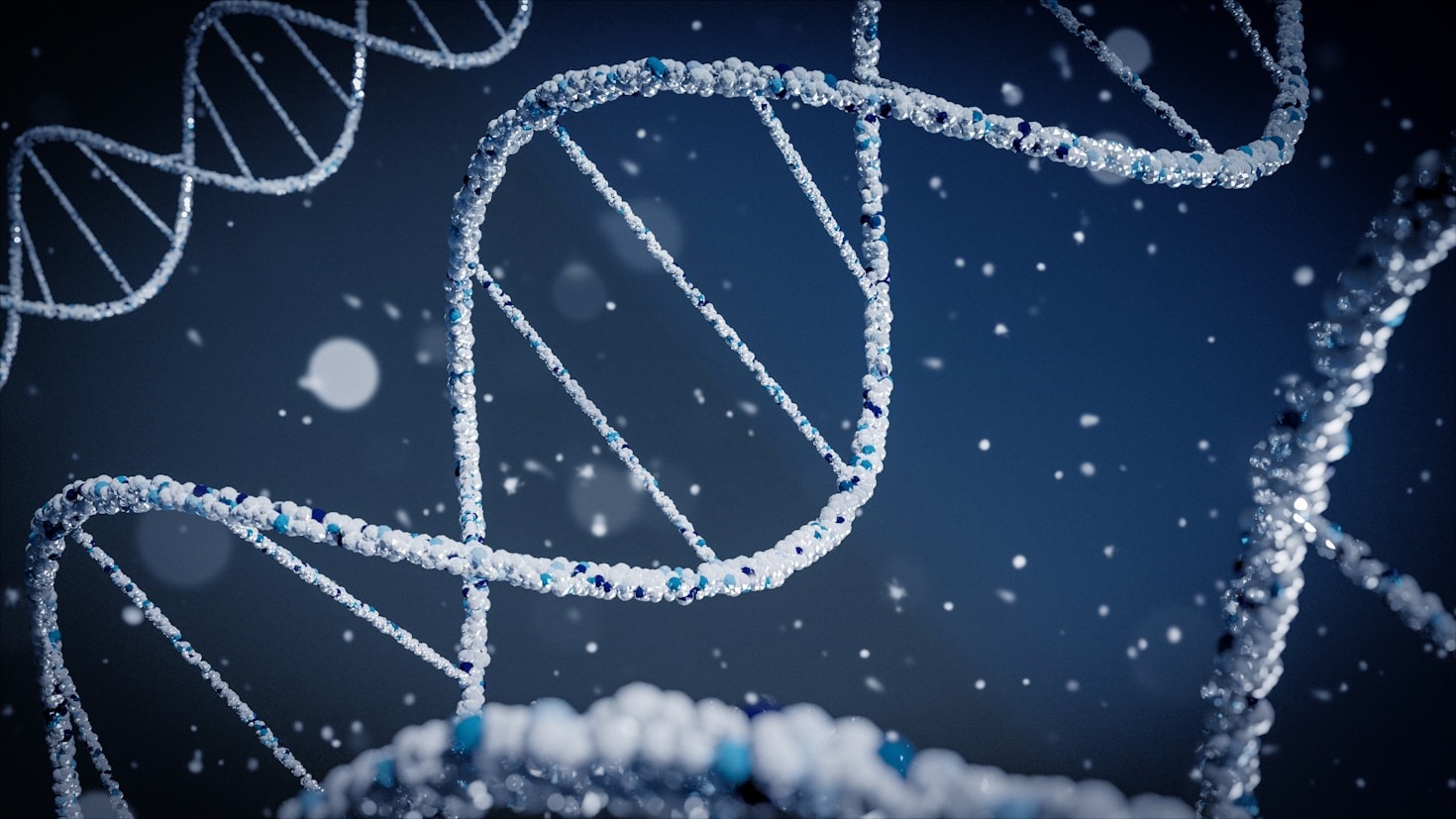 Analyzing The Long Term Impact Of New Modalities